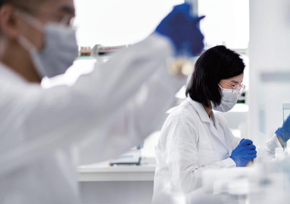 Research and Development Team